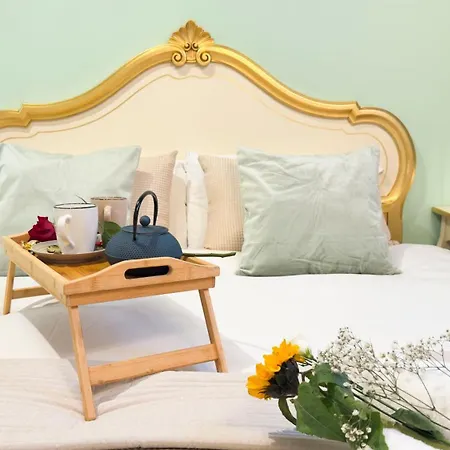 Gesuiti - Cozy And